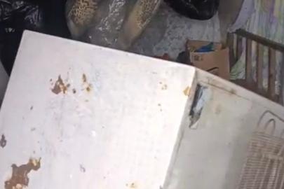 Bir günde 20 eve girdi, yayla sakinlerini canından bezdirdi