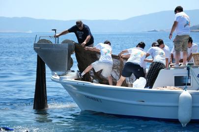 Bodrum'da denizden 2 bin metrekare hayalet ağ çıkarıldı