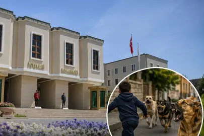 İçişleri'nden köpek saldırıları sonrası 3 belediye başkanı hakkında işlem... Muğla ve Erzurum'a soruşturma, Şanlıurfa'ya ön inceleme