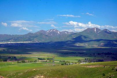 İşte Erzurum’un tarım karnesi