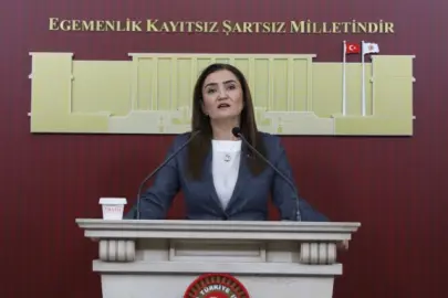 CHP Grup Başkanvekili Kılıç’tan 'silahsızlanma' vurgusu